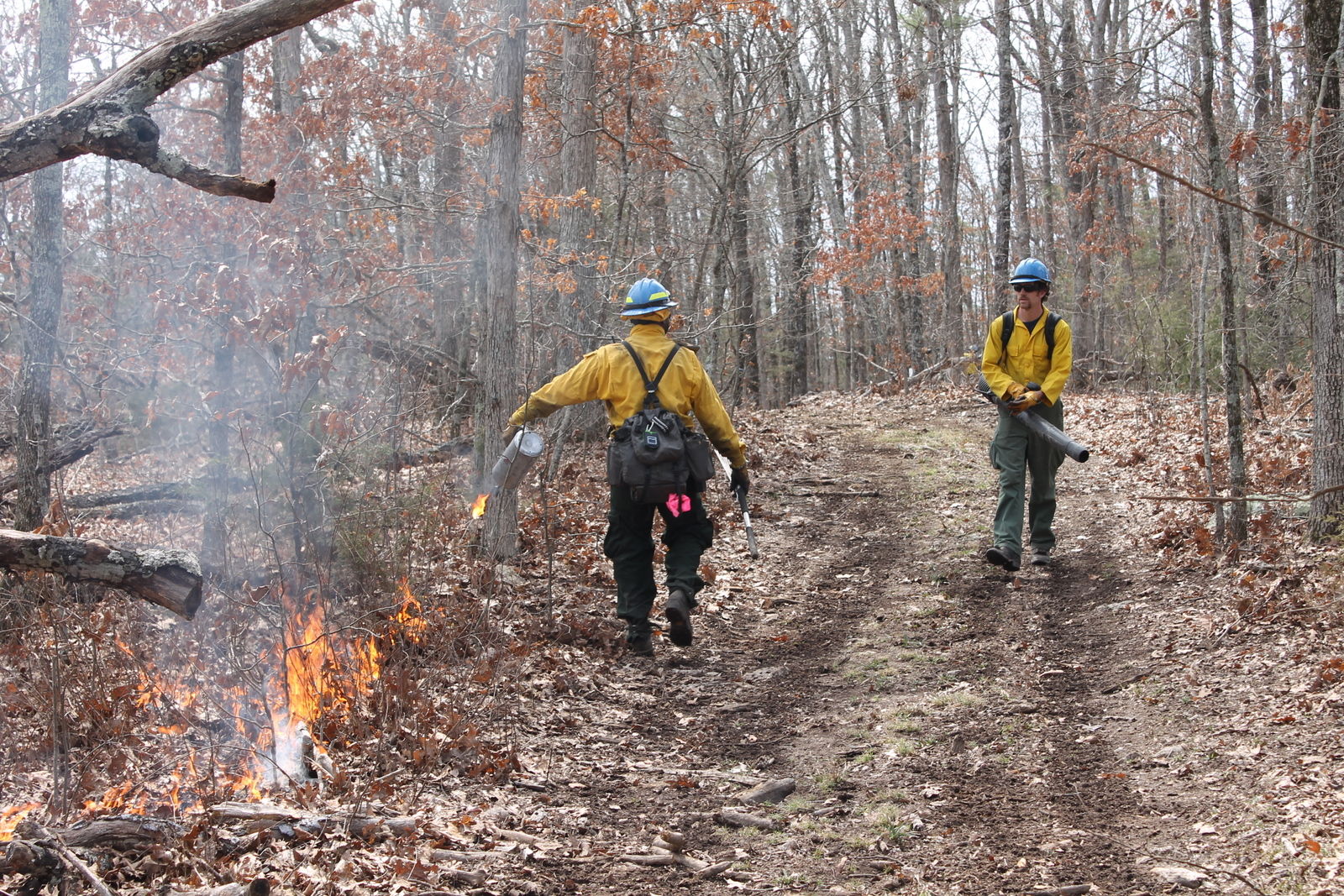 The fireline on Jerktail Mountain